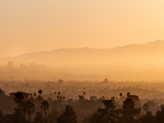 <p>A view of Beverly Hills seen from Elysian Park on September 6, 2024 in Los Angeles, California. This week’s heat wave hits parts of Southern California with triple-digit temperatures</p>