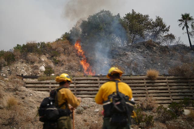 <p>The Line Fire near Highland, California, expanded to more than 17, 400 acres overnight on September 7, 2024 </p>