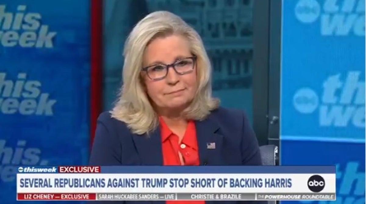 Liz Cheney torches Nikki Haley over support for Donald…