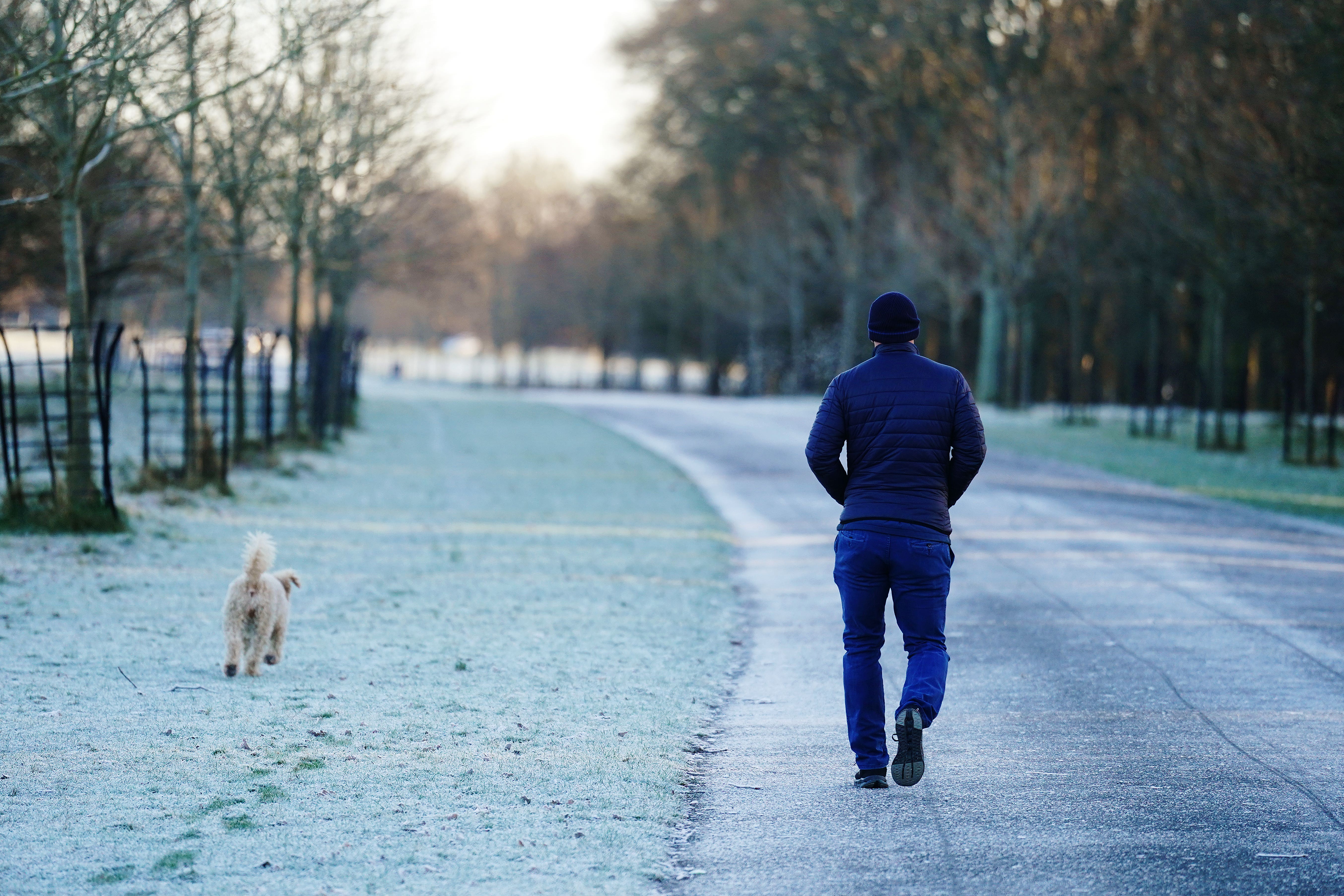 Low temperatures mean there is a chance of frost (Brian Lawless/ PA Archive)