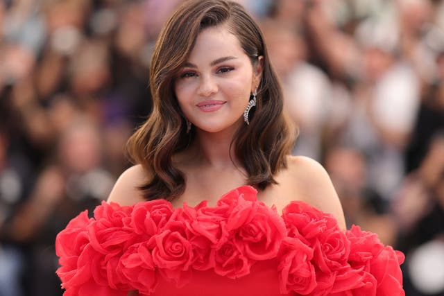 <p>Selena Gomez confiesa que no puede tener hijos biológicos debido a problemas médicos</p>