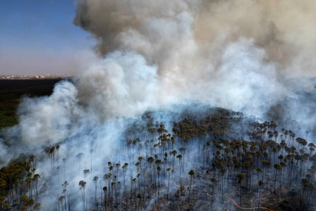 Brazil Wildfires