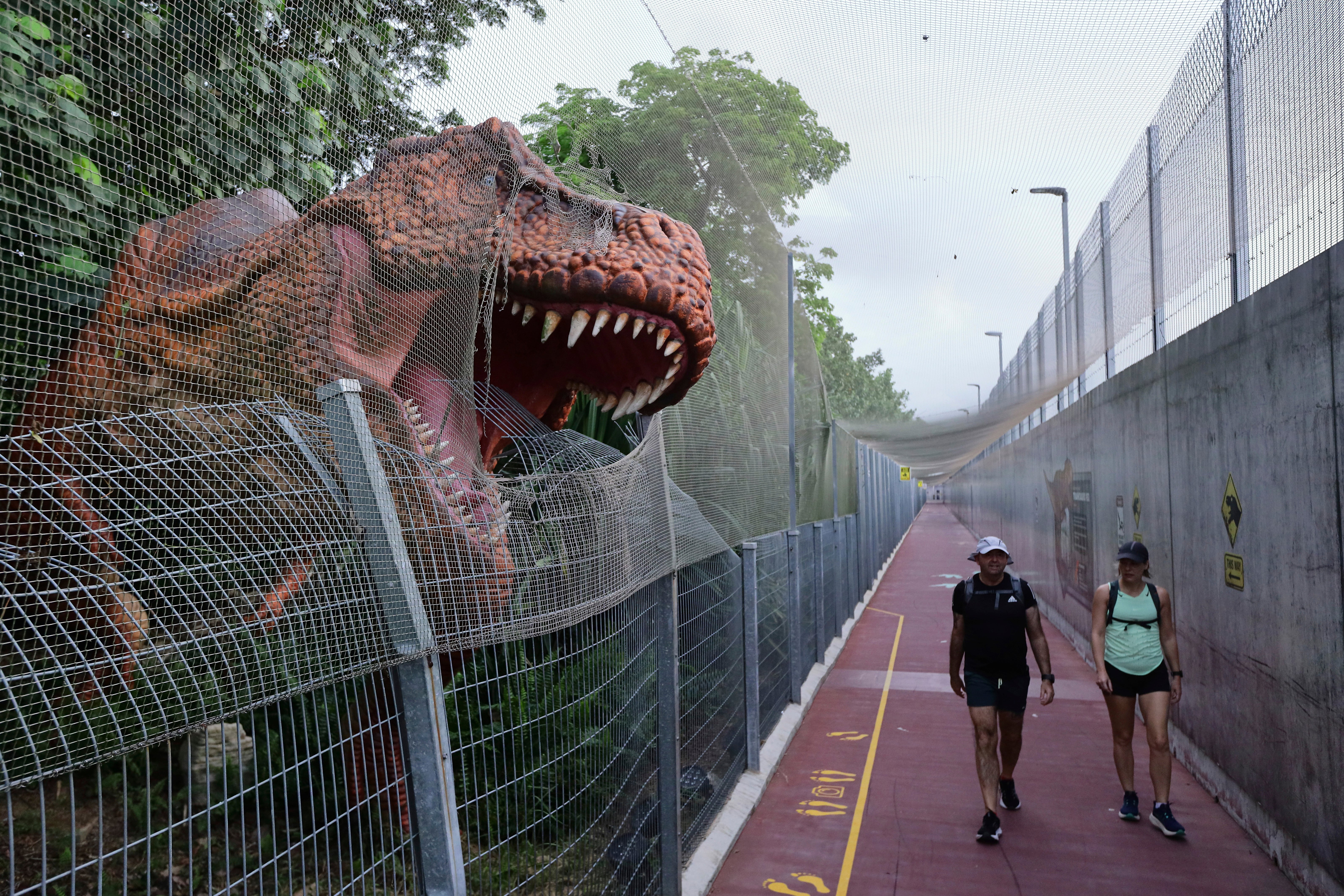 Singapore Pope Explainer