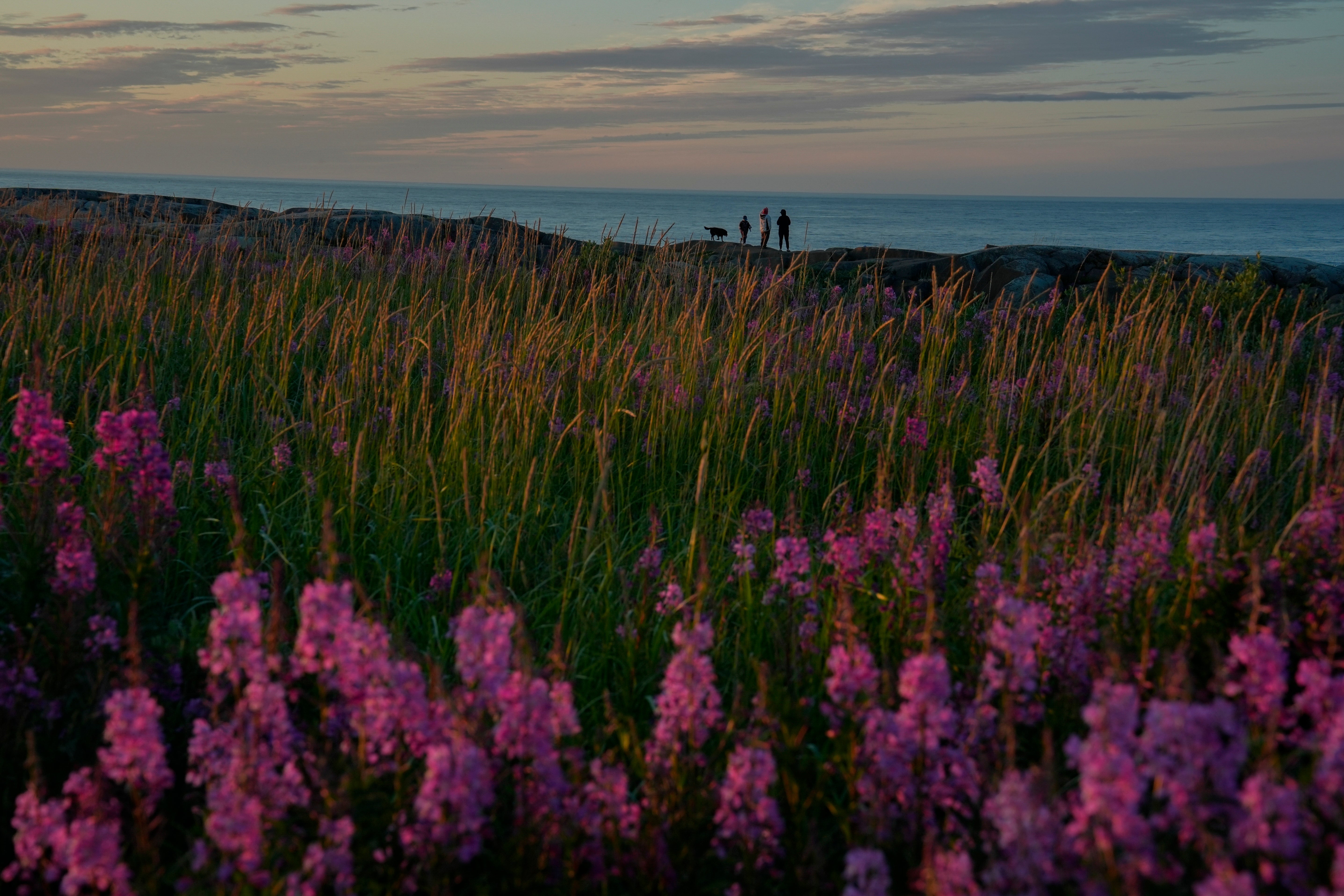 A family stands near the Hudson Bay, Saturday, Aug. 3, 2024, in Churchill, Manitoba