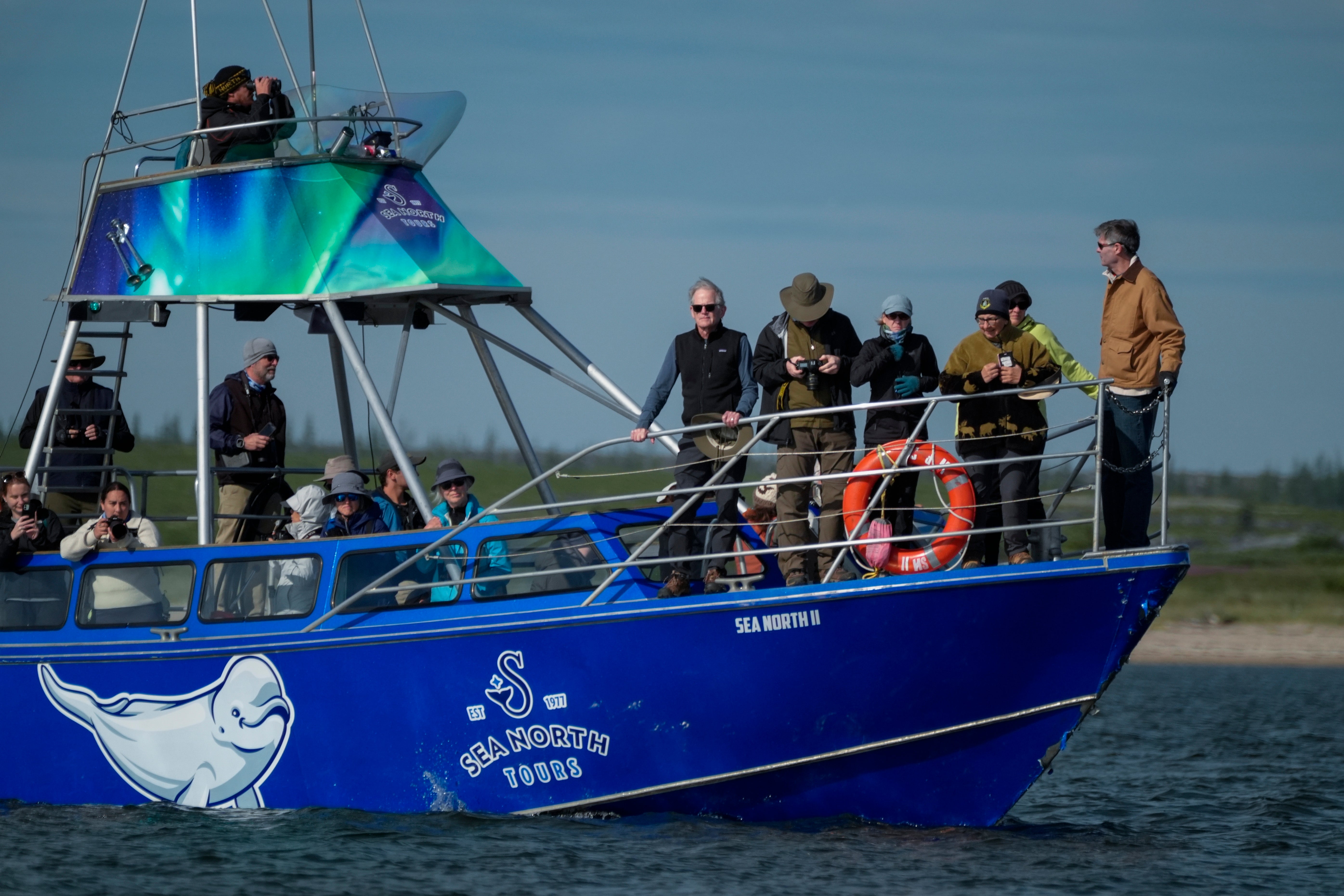 Tourists observe beluga whales in the Churchill River, Sunday, Aug. 4, 2024, near Churchill, Manitoba