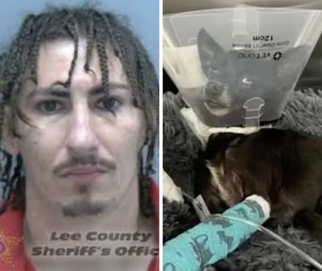 <p>Dalton Chad Sousa, 30, left, has been accused of throwing three-year-old chihuahua Raven “like a football” from a Florida balcony</p>