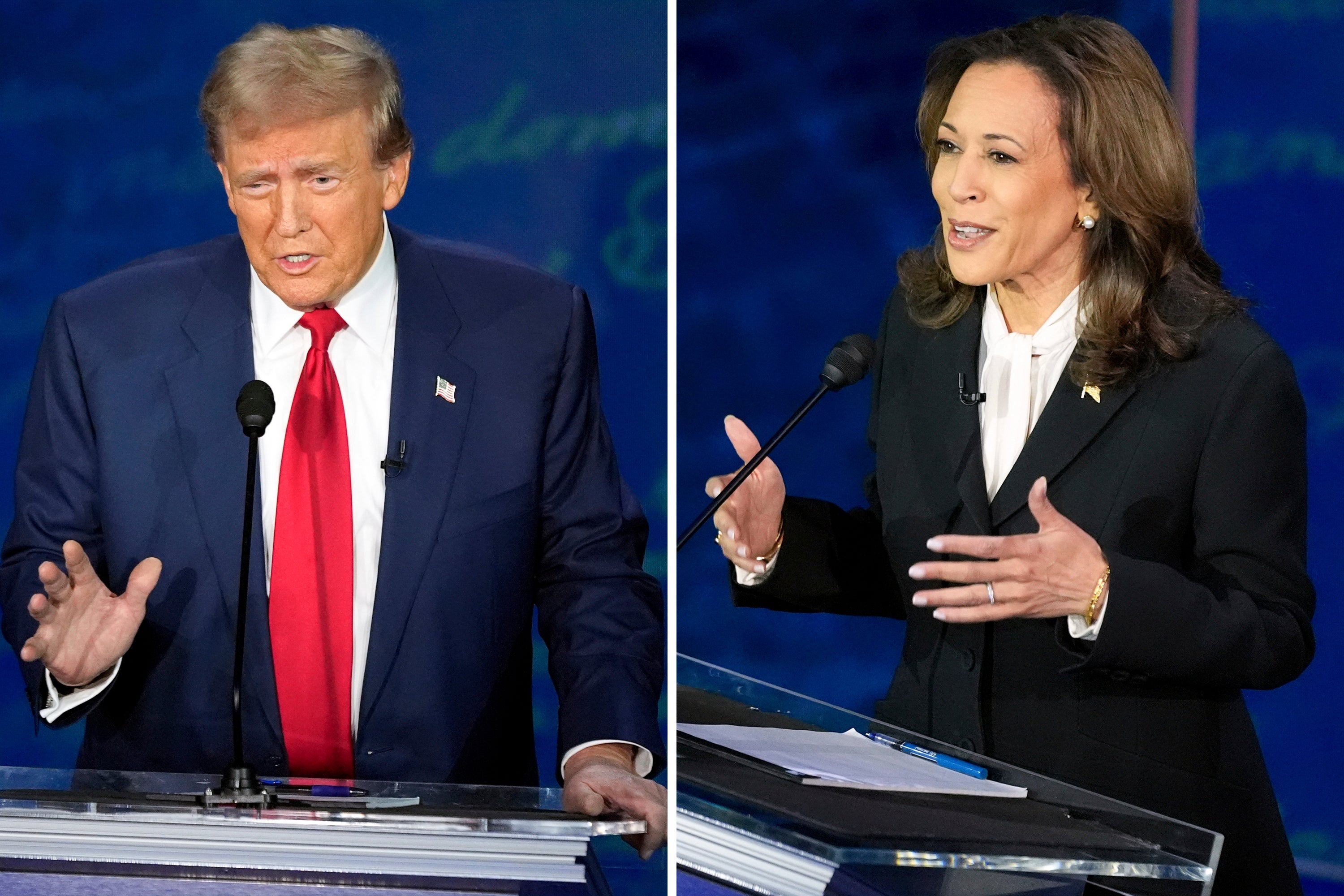 Donald Trump and Kamala Harris sparred over competing visions of America’s future and its current reality at their potentially only debate on September 10.