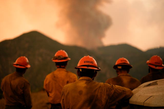 <p>Firefighters monitor the Line Fire, which is burning through Southern California. A 34-year-old man has been arrested on arson charges in connection with the blaze </p>