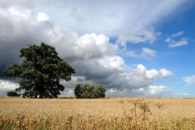 Farmers have issued a warning that environmental targets will not be met without sufficient agricultural budget (Ian Nicholson/PA)