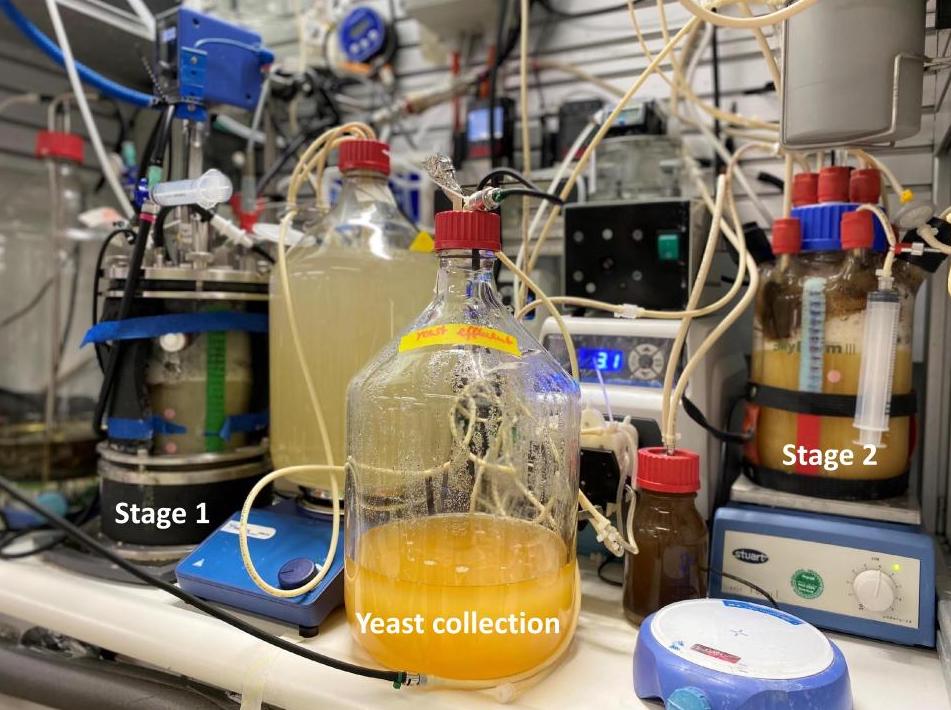 Setup of the experiment at University of Tübingen