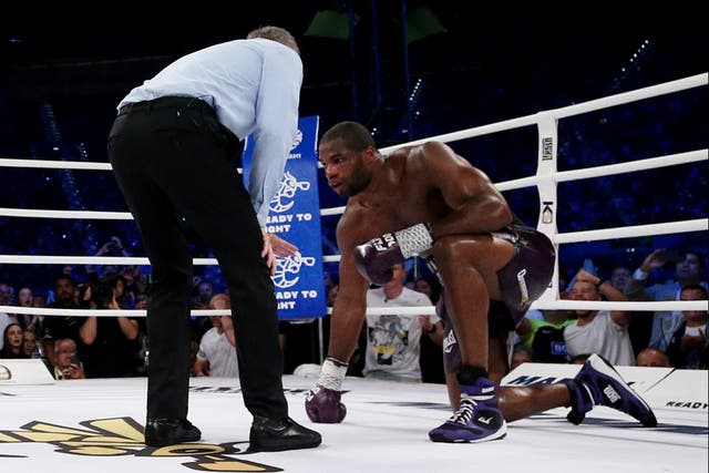 <p>Daniel Dubois in his stoppage loss to Oleksandr Usyk in August 2023</p>