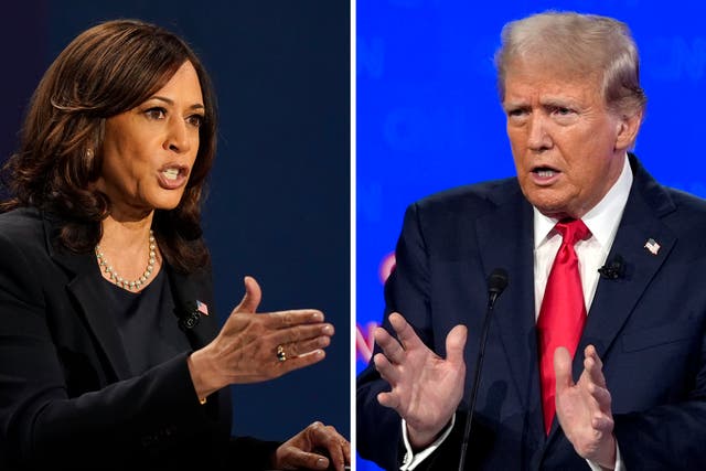 <p>Kamala Harris and Donald Trump </p>