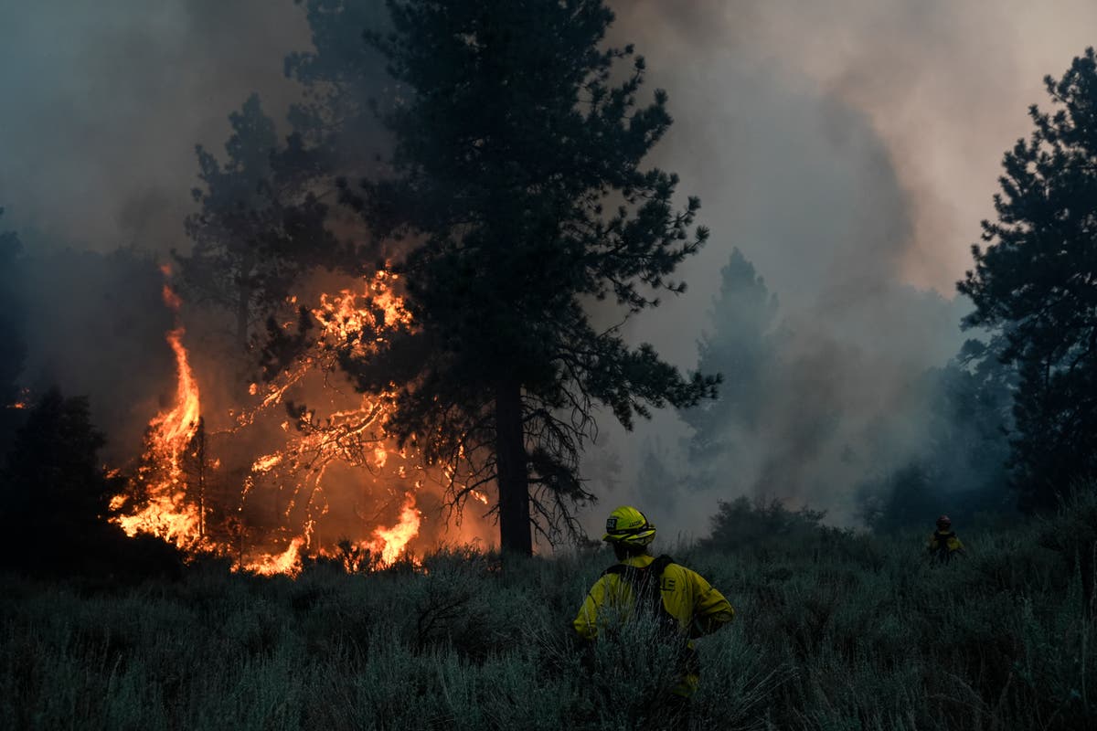 CLIMATE GLIMPSE: Wildfires plague U.S. West and Brazil, Yagi rampages in Vietnam