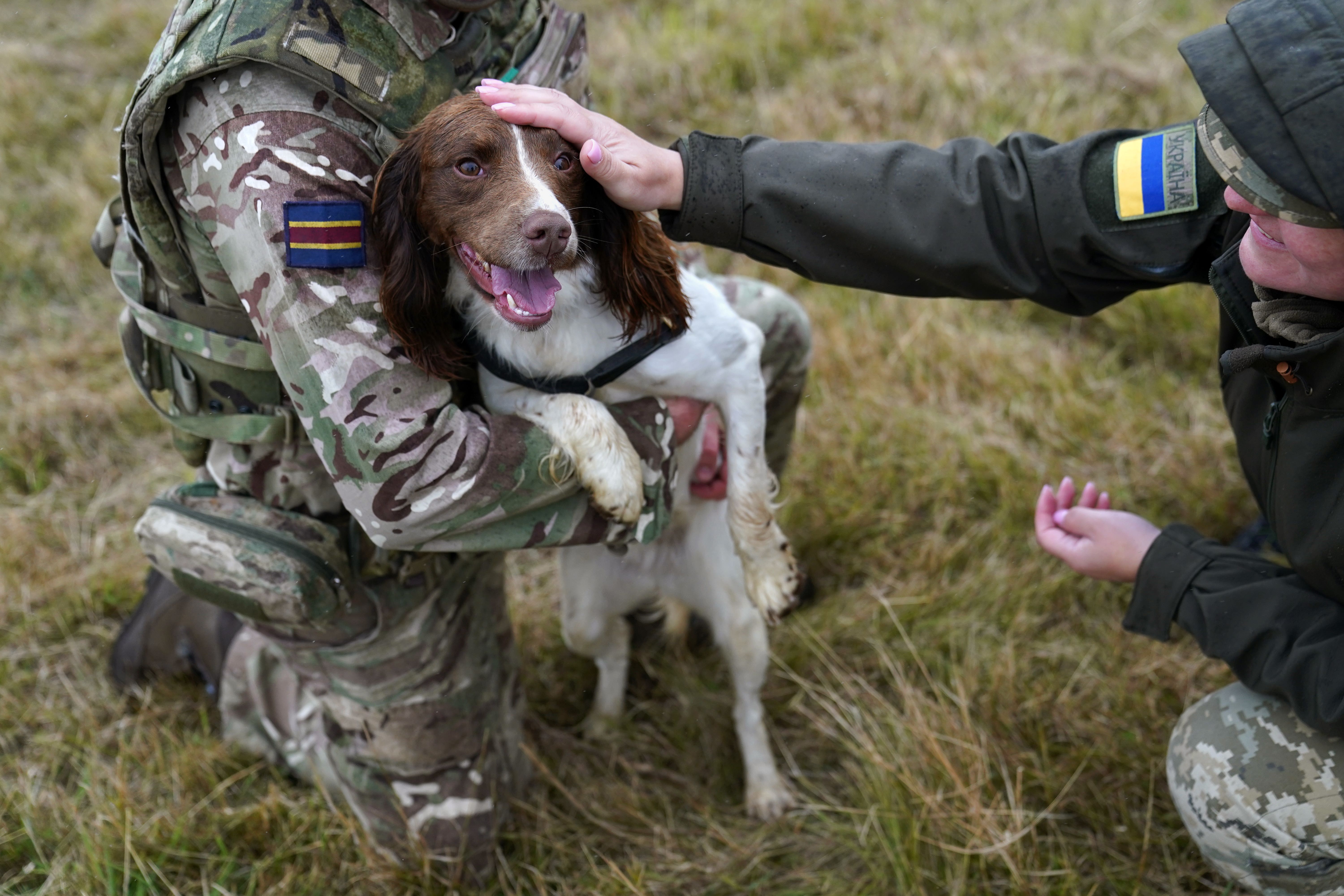 A serviceman who dreamed of working with dogs is one of 20 Ukrainians learning handling techniques from British Army personnel (Joe Giddens/PA)