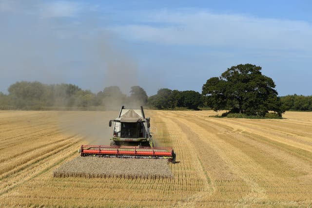 Environment Secretary Steve Reed told MPs he can not yet reveal funding for farmers (Joe Giddens/PA)