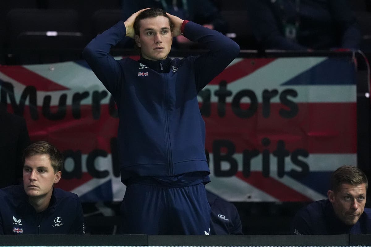 &lsquo;Passionate&rsquo; Jack Draper ready to lead Britain in Davis Cup &ndash; Dan Evans