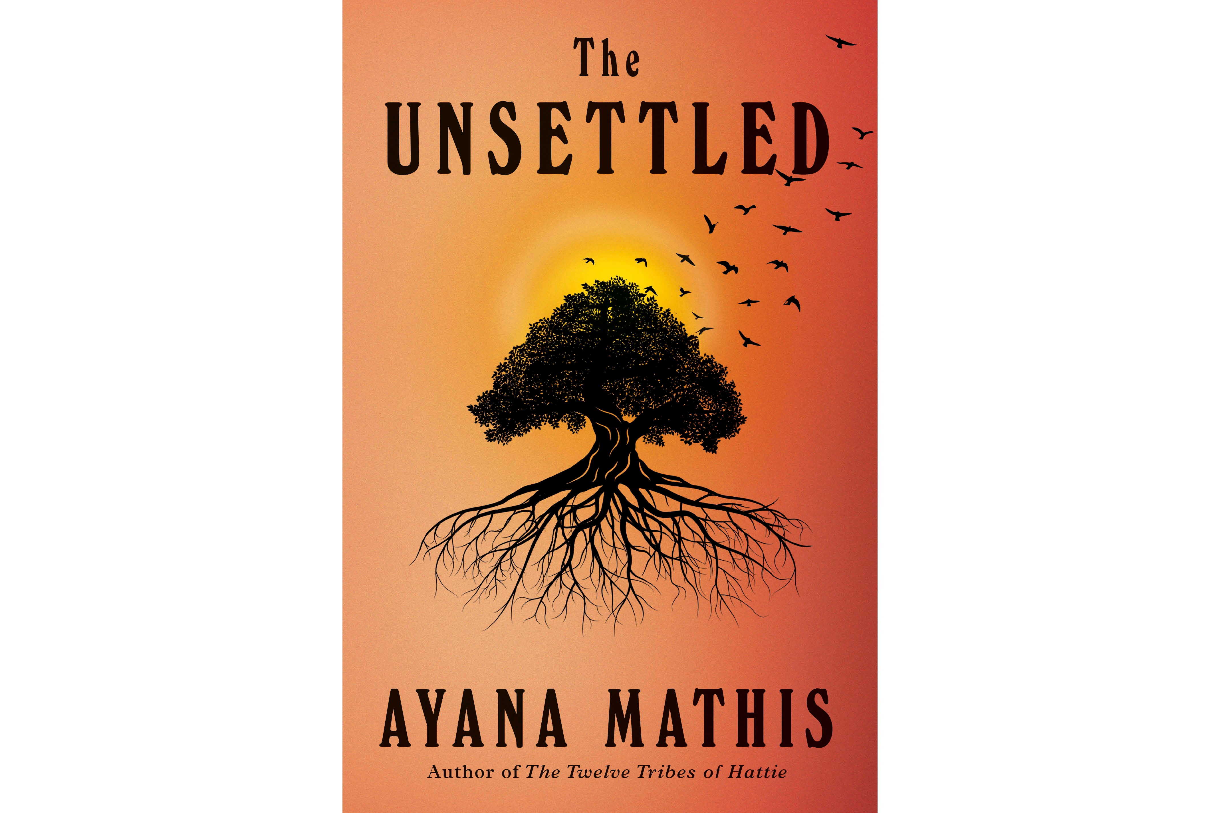 Books The Unsettled