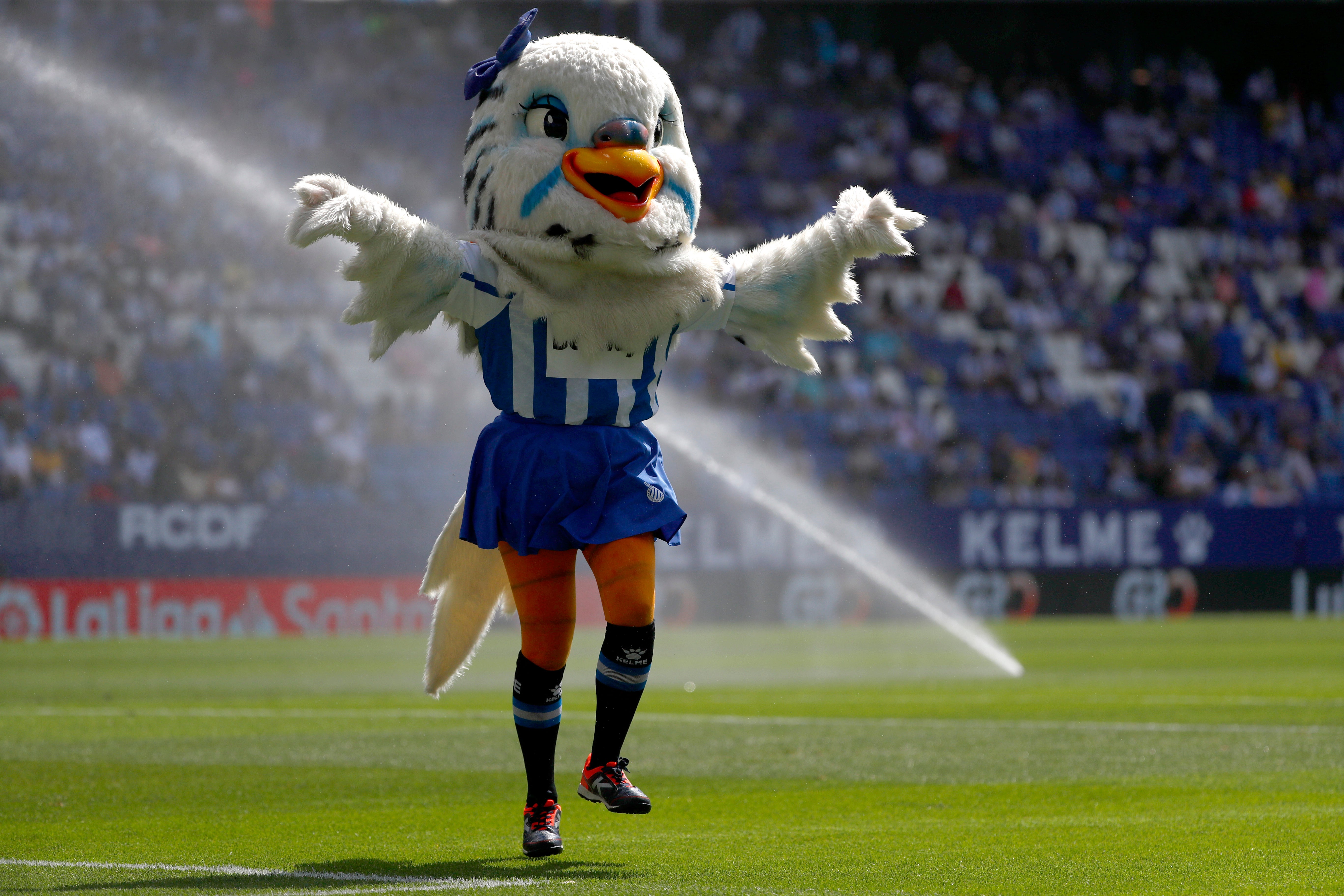 Mallo-Mascot Abuse Soccer