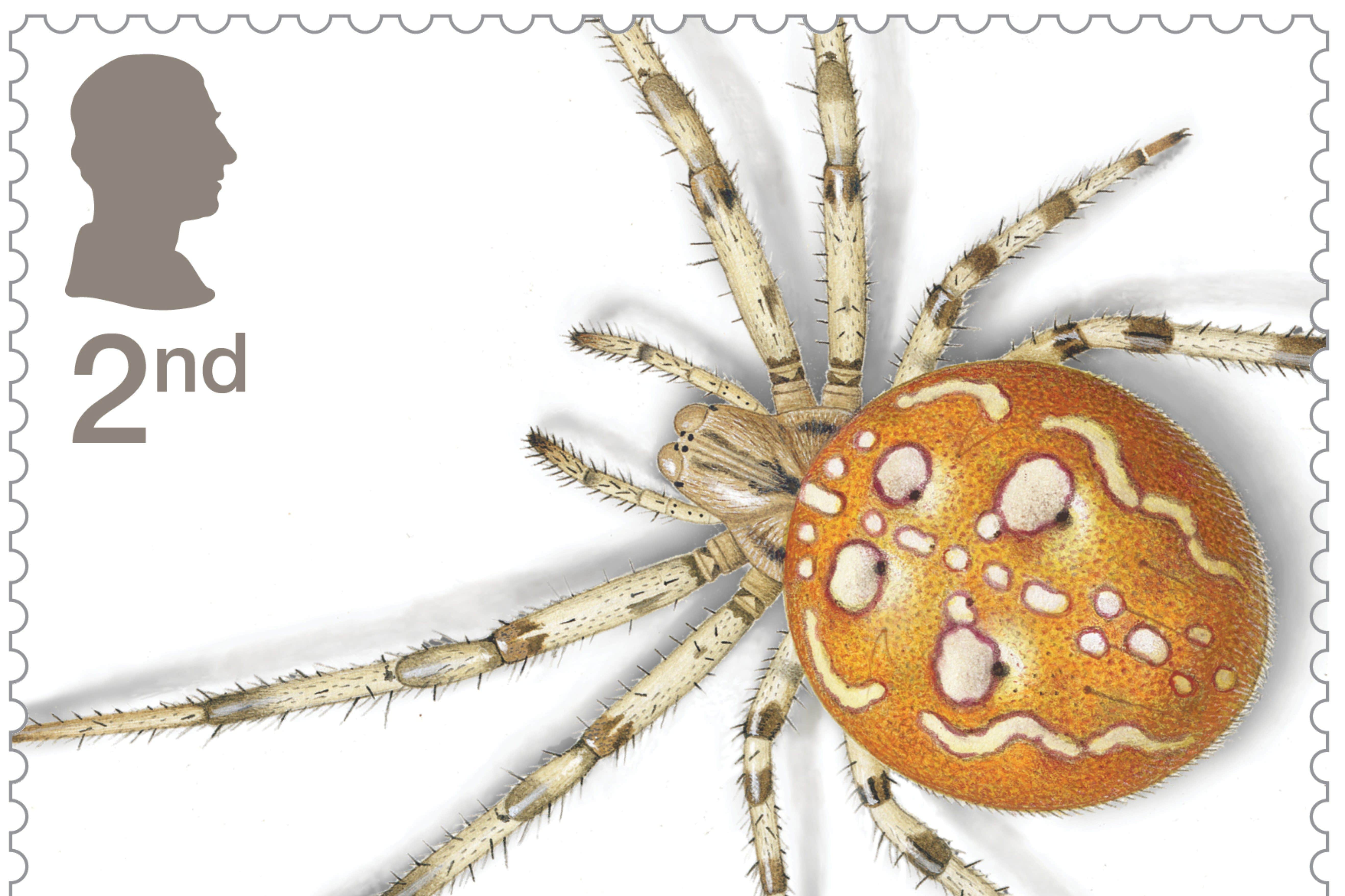 The four-spotted Orbweb Spider on a stamp (Royal Mail/PA)