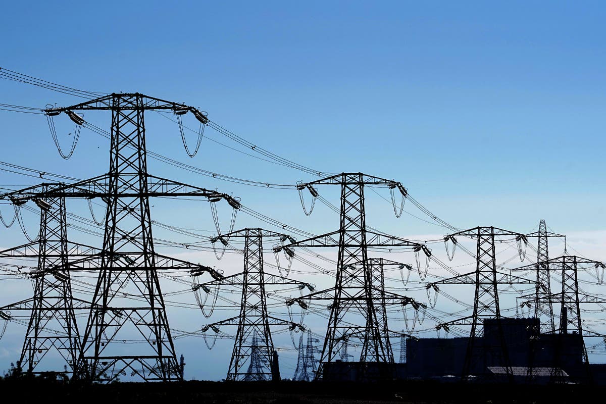 UK Government Purchases Electricity System Operator