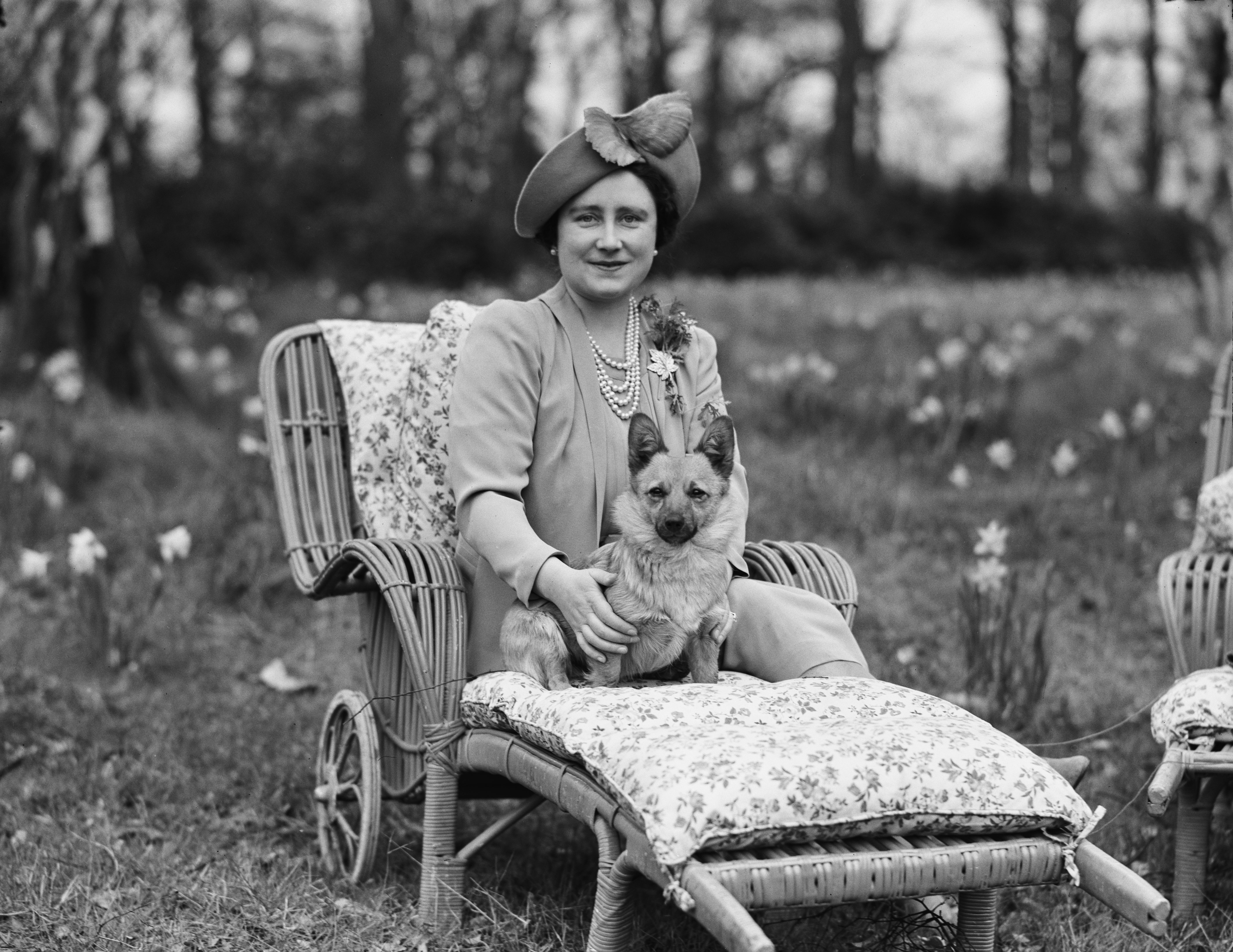 Pictured is the Queen Mother lounging outdoors with one of her dogs that year