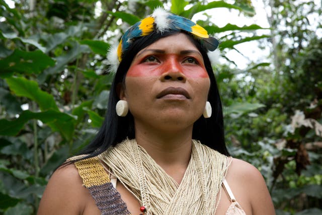 <p>Nenquimo is a Waorani leader, which she considers a huge honour but one that weighs heavily on her shoulders </p>