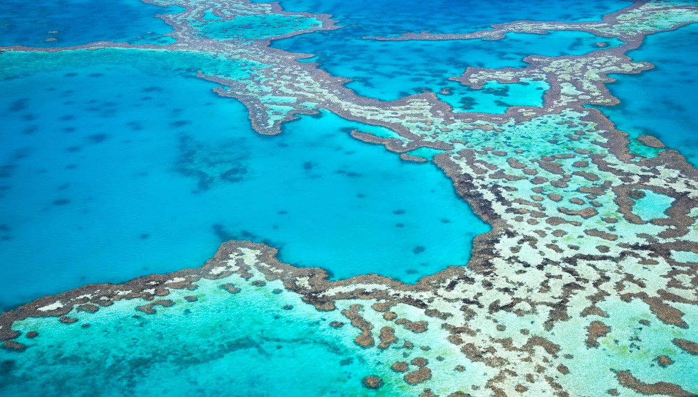 Australia’s Great Barrier Reef, the world’s largest coral reef system