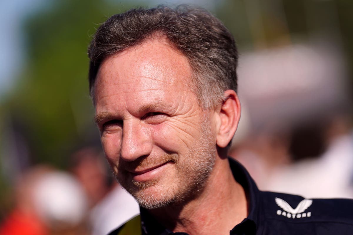 Christian Horner says Red Bull up for the fight of defending world championships