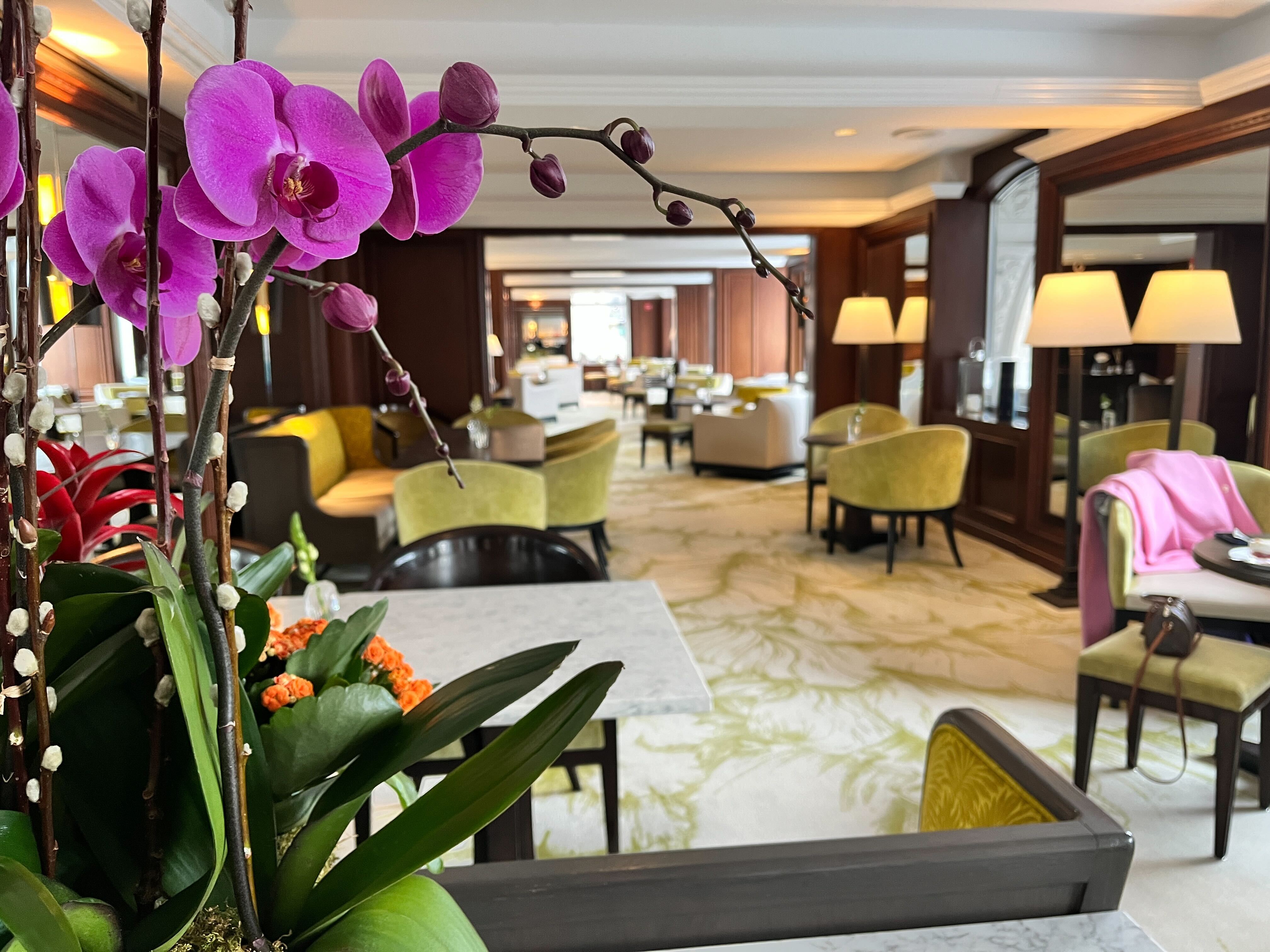 The Club Lounge is one of the best parts of a stay at the Ritz-Carlton Central Park