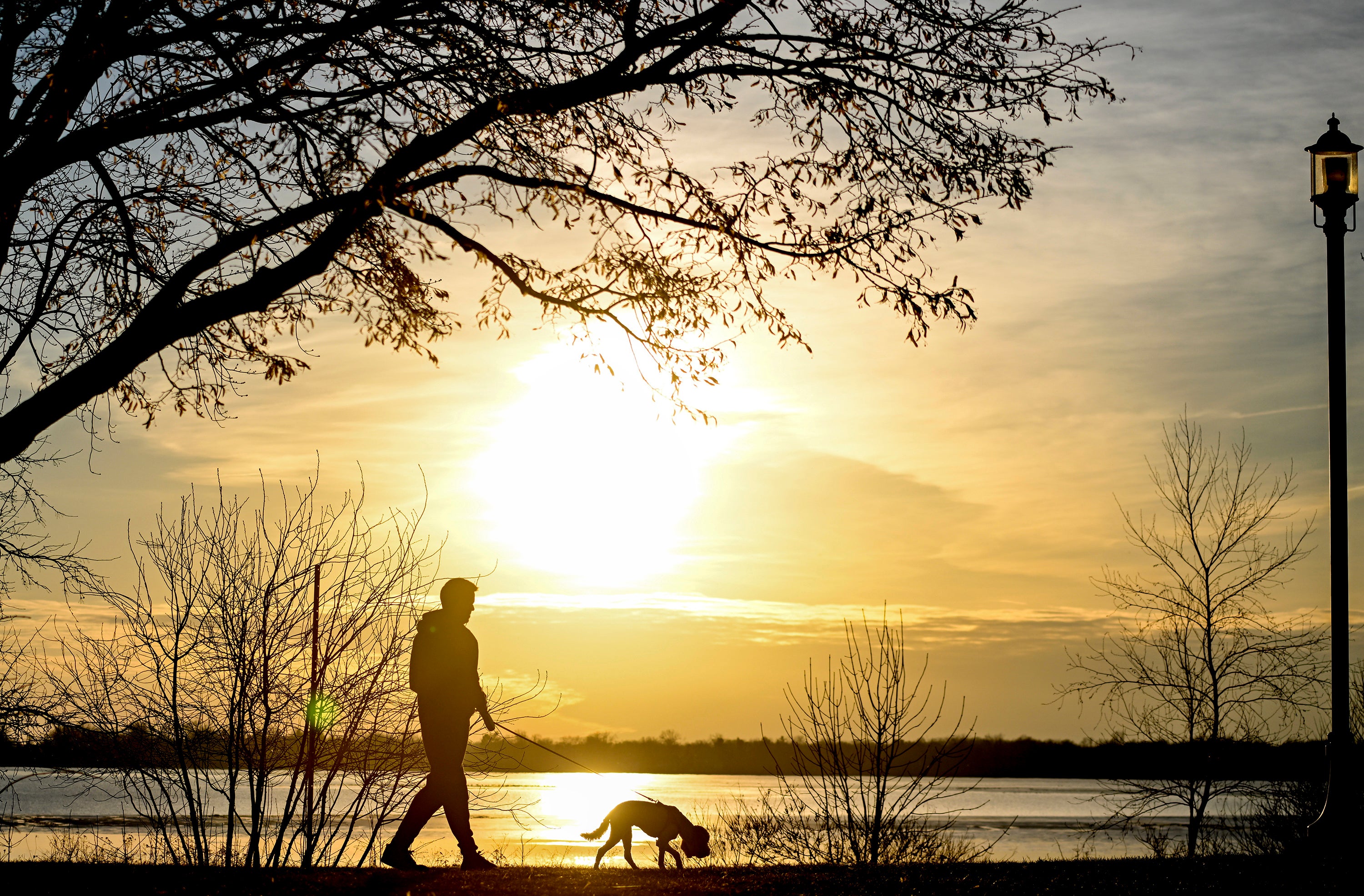 The sun sets behind a person as they walk their dog along Lac Saint-Louis in Montreal