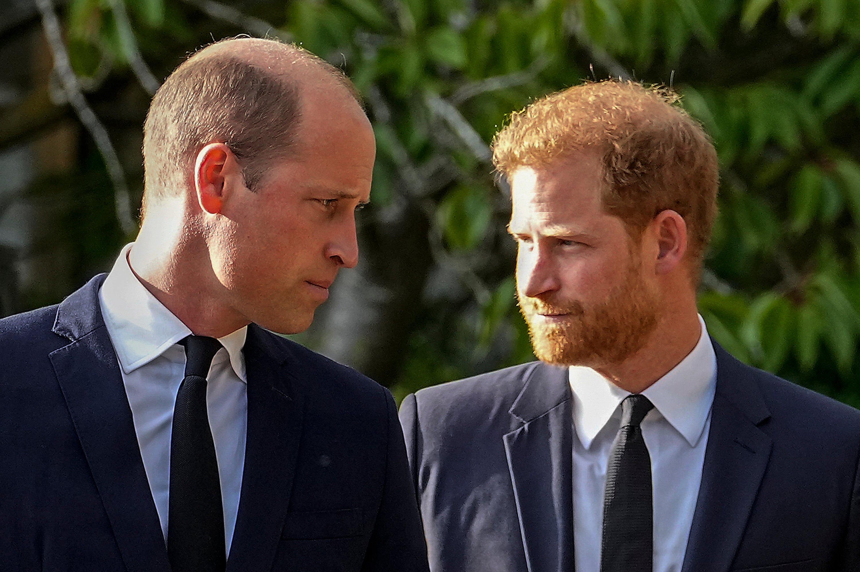 Harry e William não são fotografados juntos em público desde a morte da falecida Rainha Elizabeth II em setembro de 2022.