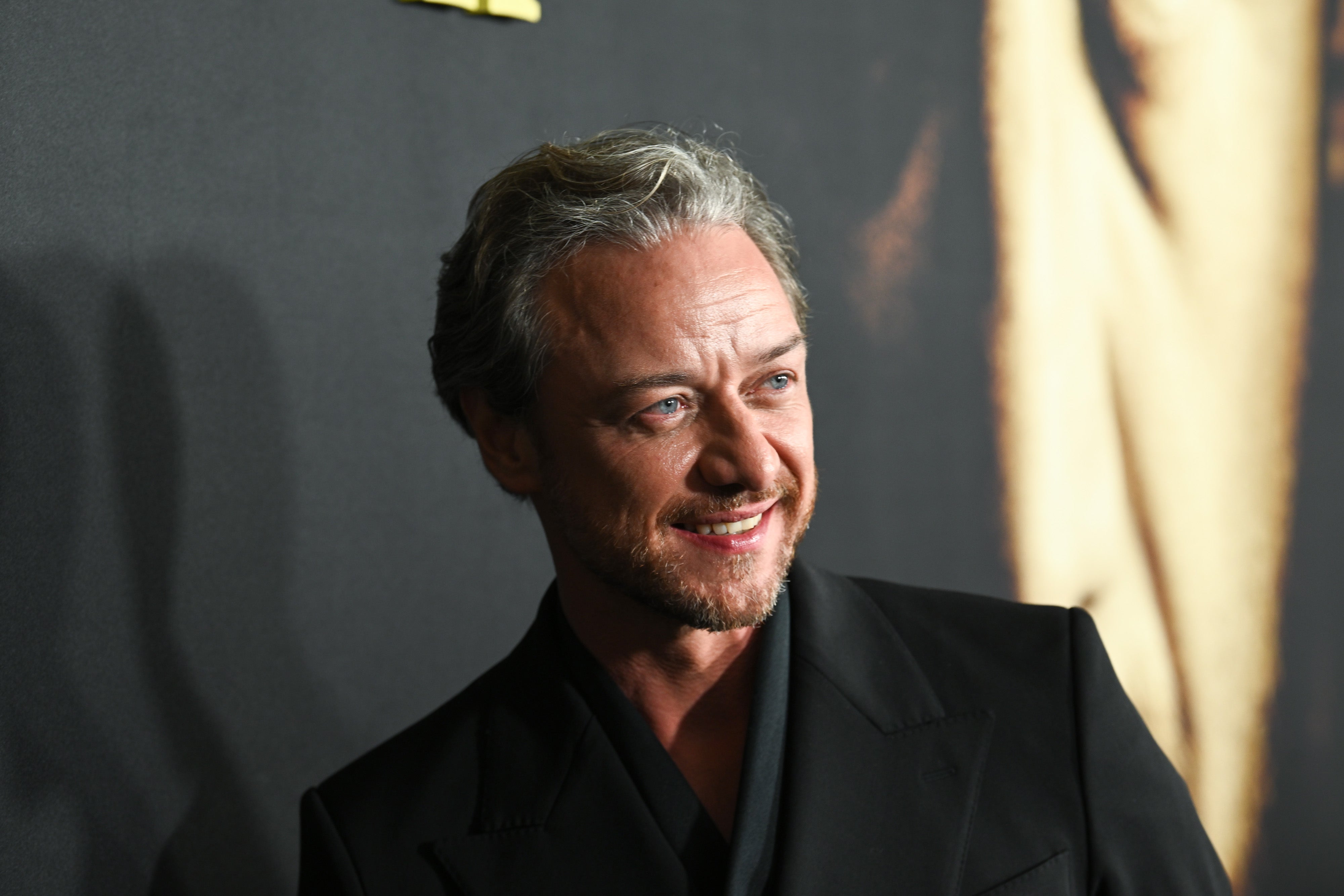 James McAvoy Reveals He Was Nearly Cast As Major Harry Potter Villain 