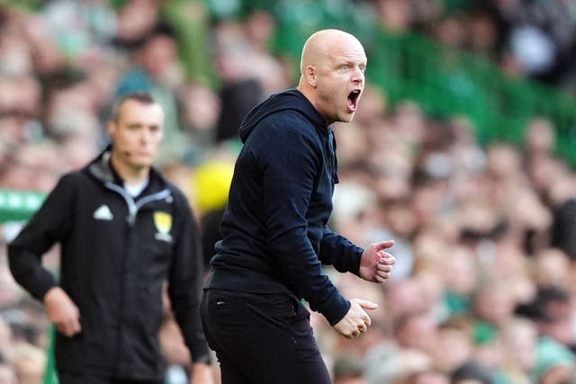 Steven Naismith was aggrieved by VAR decisions at Celtic Park (PA)