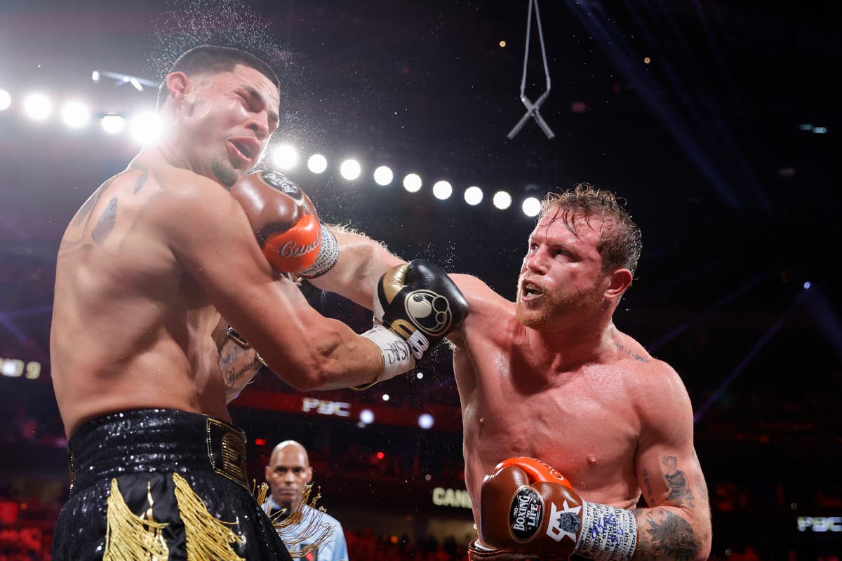 Canelo drops Edgar Berlanga and cruises to points victory – live