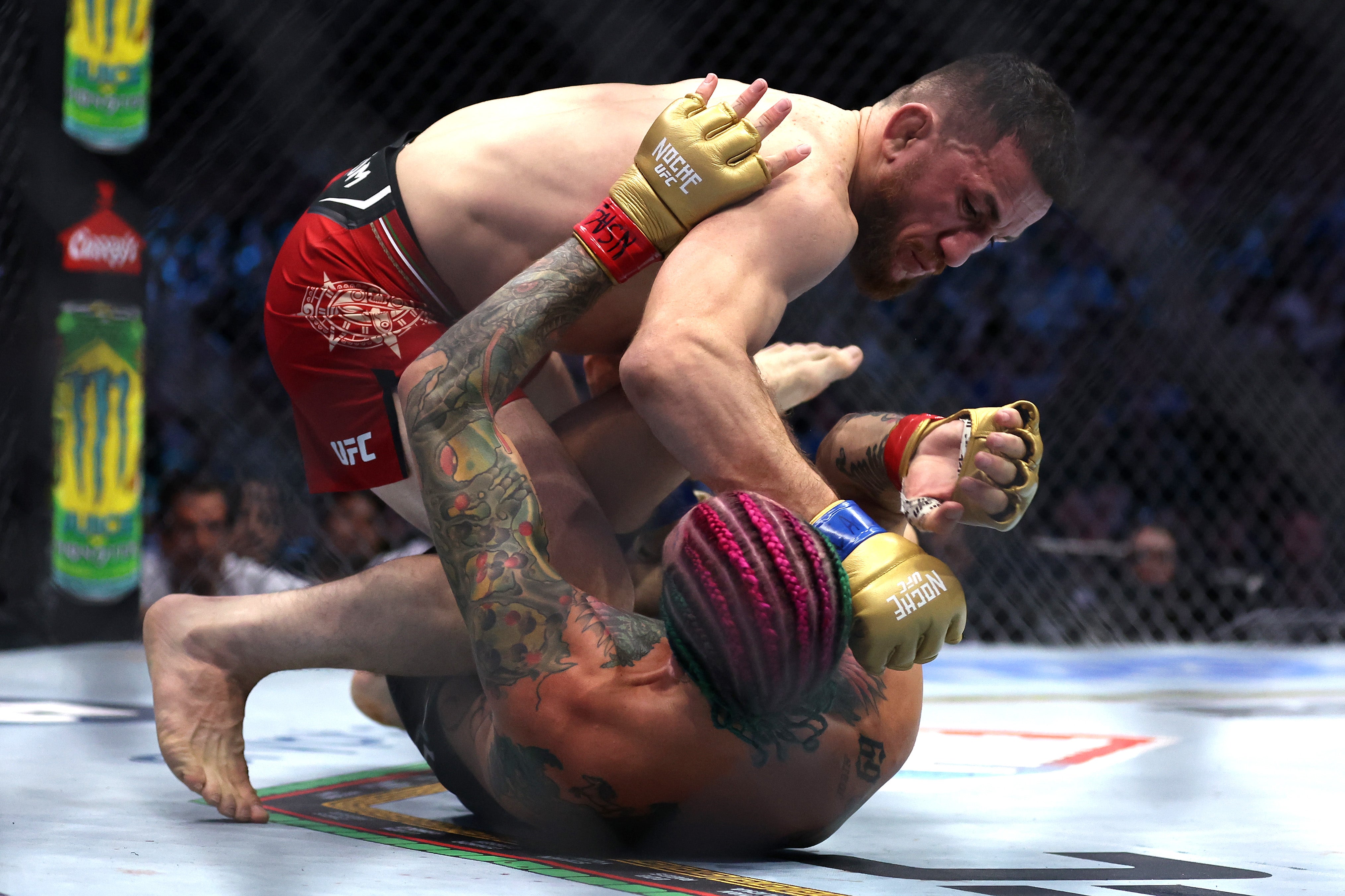 Merab Dvalishvili (top) dominated Sean O’Malley at UFC 306