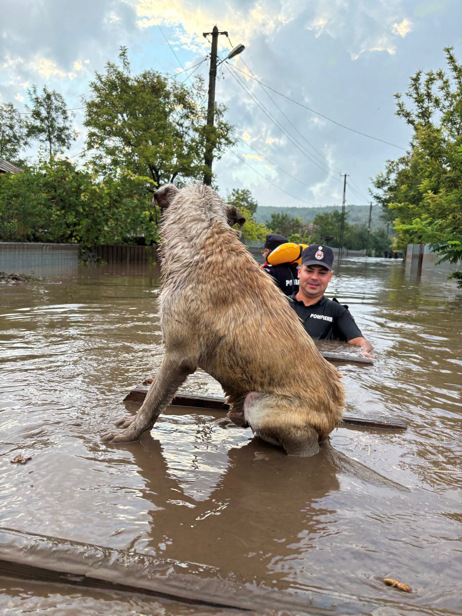 Rescuers evacuate a dog after heavy rain triggered flooding in Cudalbi, Galati country, Romania