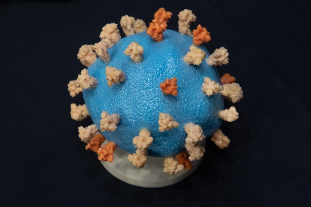 <p>Model of Covid coronavirus</p>