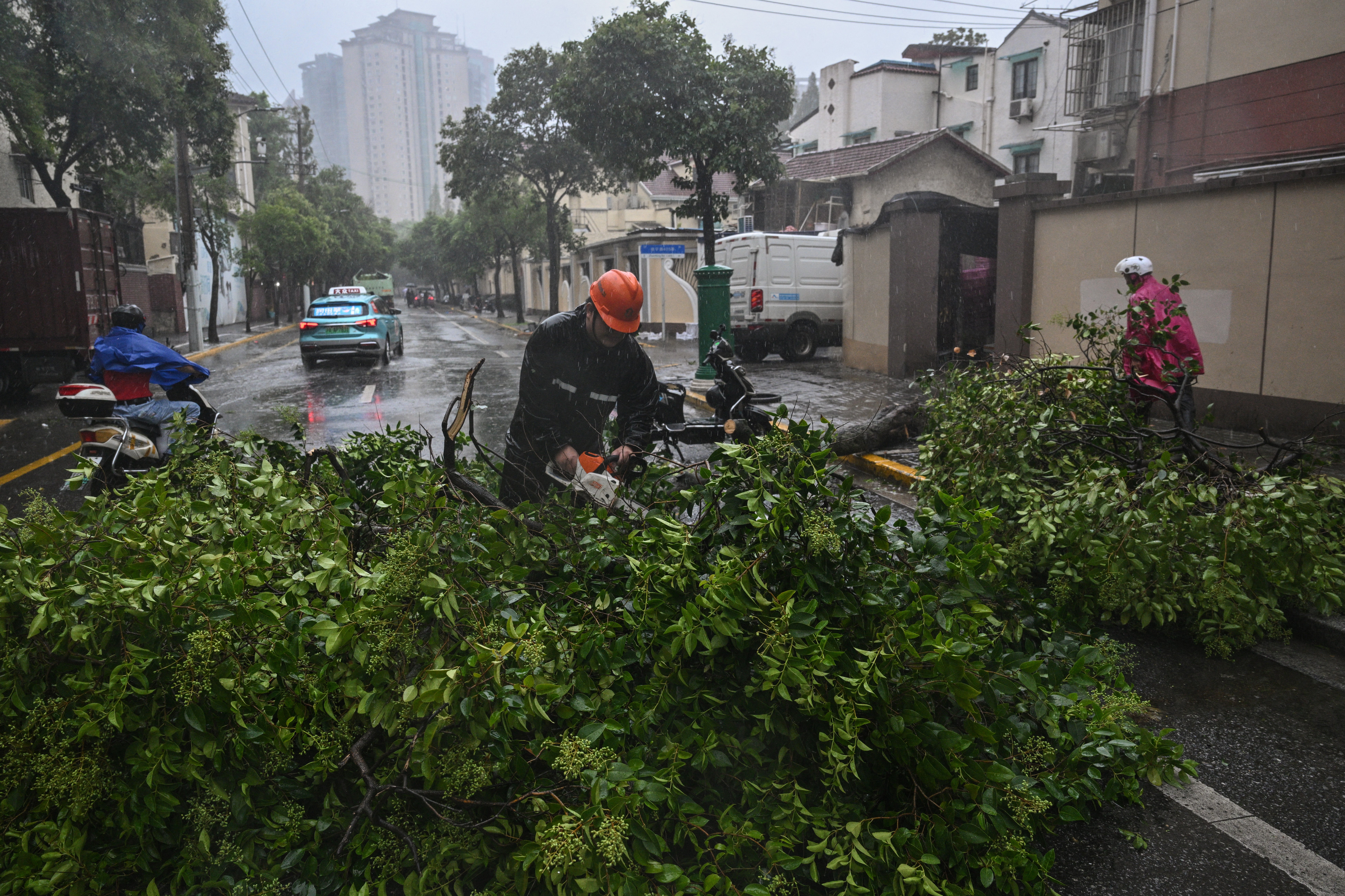 A worker cuts a fallen tree while removing it from a road amid strong winds and rain from the passage of Typhoon Bebinca in Shanghai