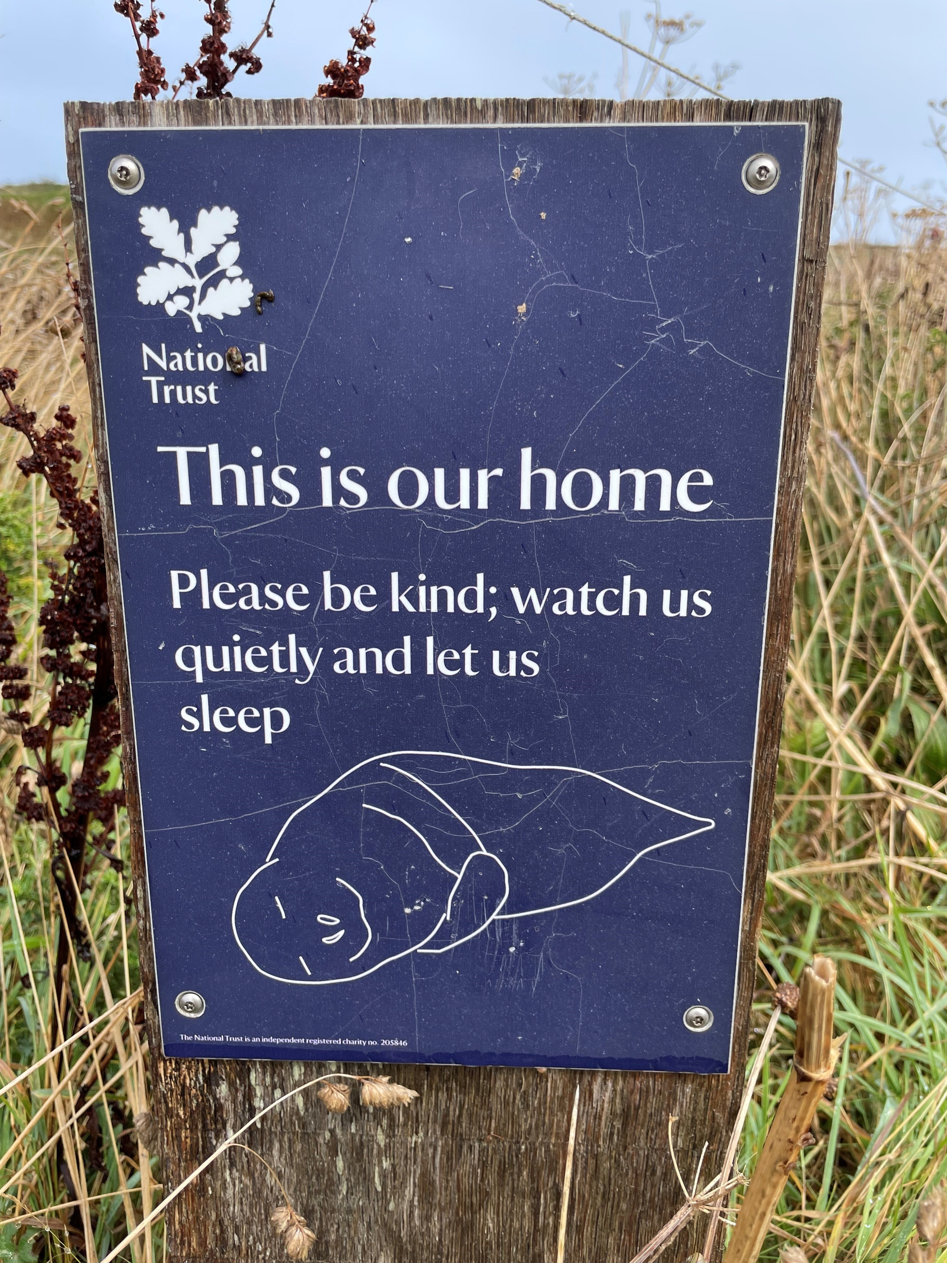 A polite notice to seal spotters hoping to catch a glimpse of the marine mammals in Godrevy National Trust (Ella Pickover/PA)