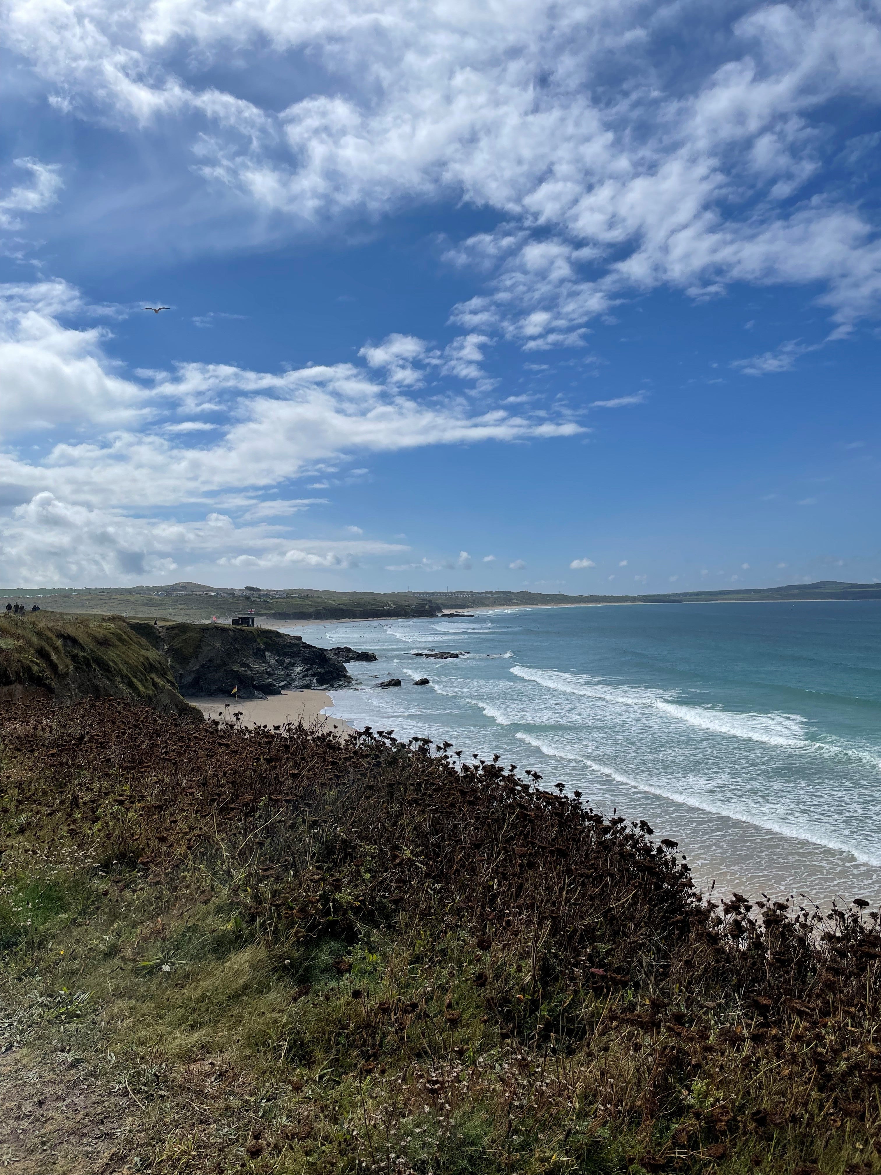 Godrevy lighthouse and the seals at Mutton Cove are just a short walk away from Three Mile Beach (Ella Pickover/PA)