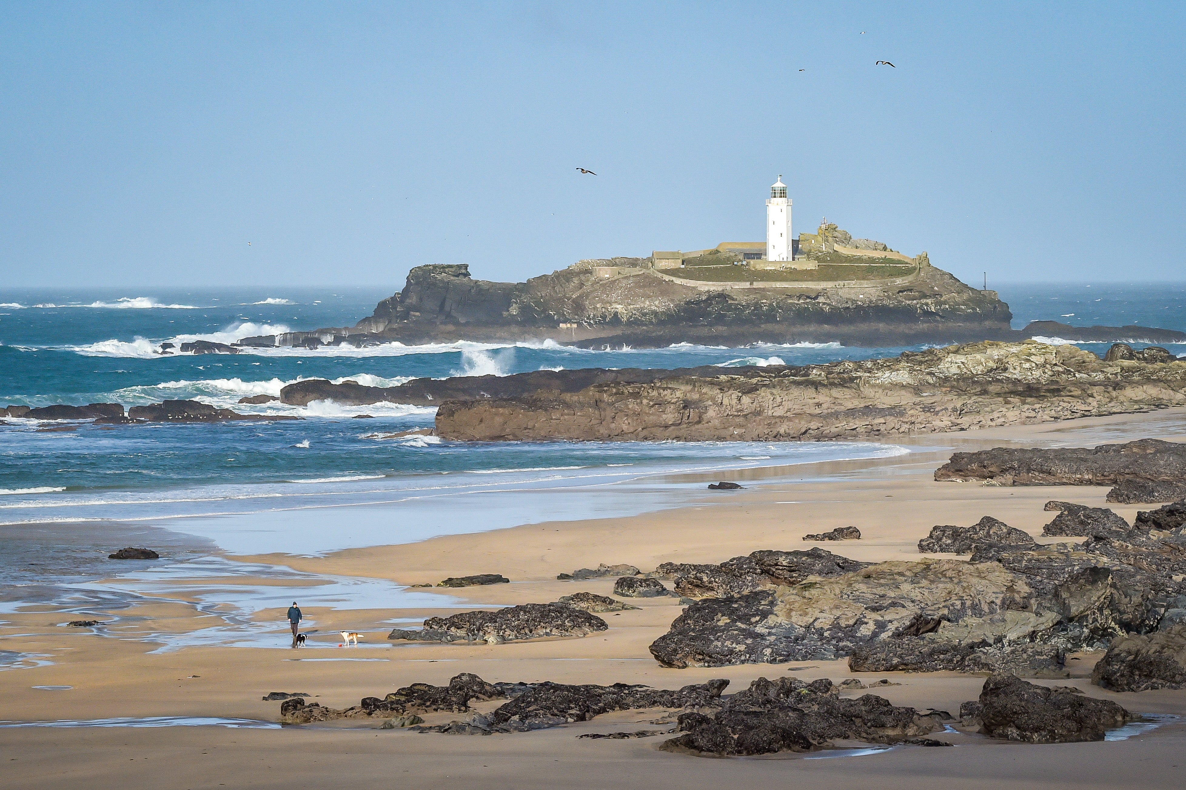 A dog walker on Gwithian Beach, Cornwall, passes Godrevy lighthouse in choppy seas (Ben Birchall/PA)