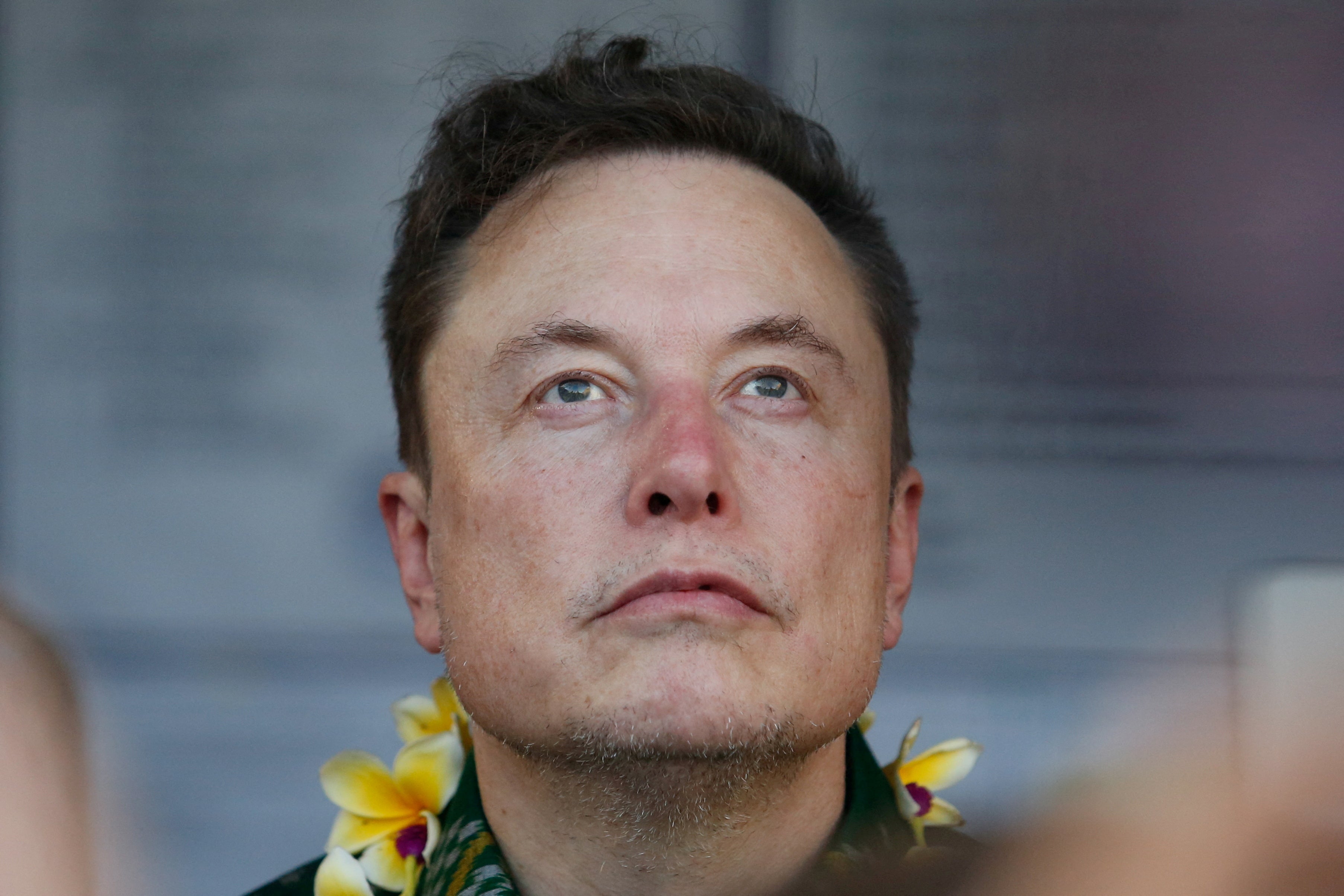 Elon Musk has faced fierce backlash over his post which he tried to explain away as ‘a joke’