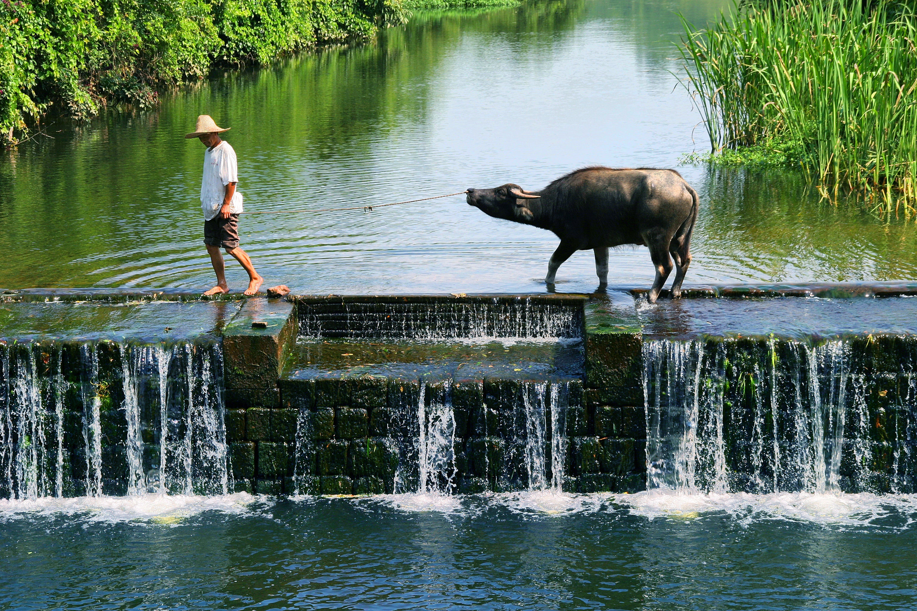 The Huizhou weirs in Huangshan, Anhui province