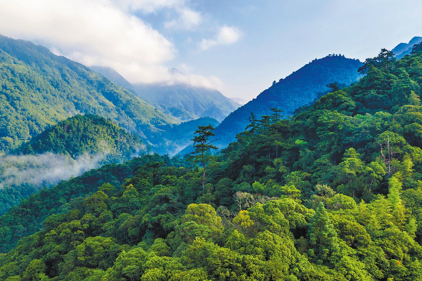 A view of forests in Wuyishan National Park in Fujian province