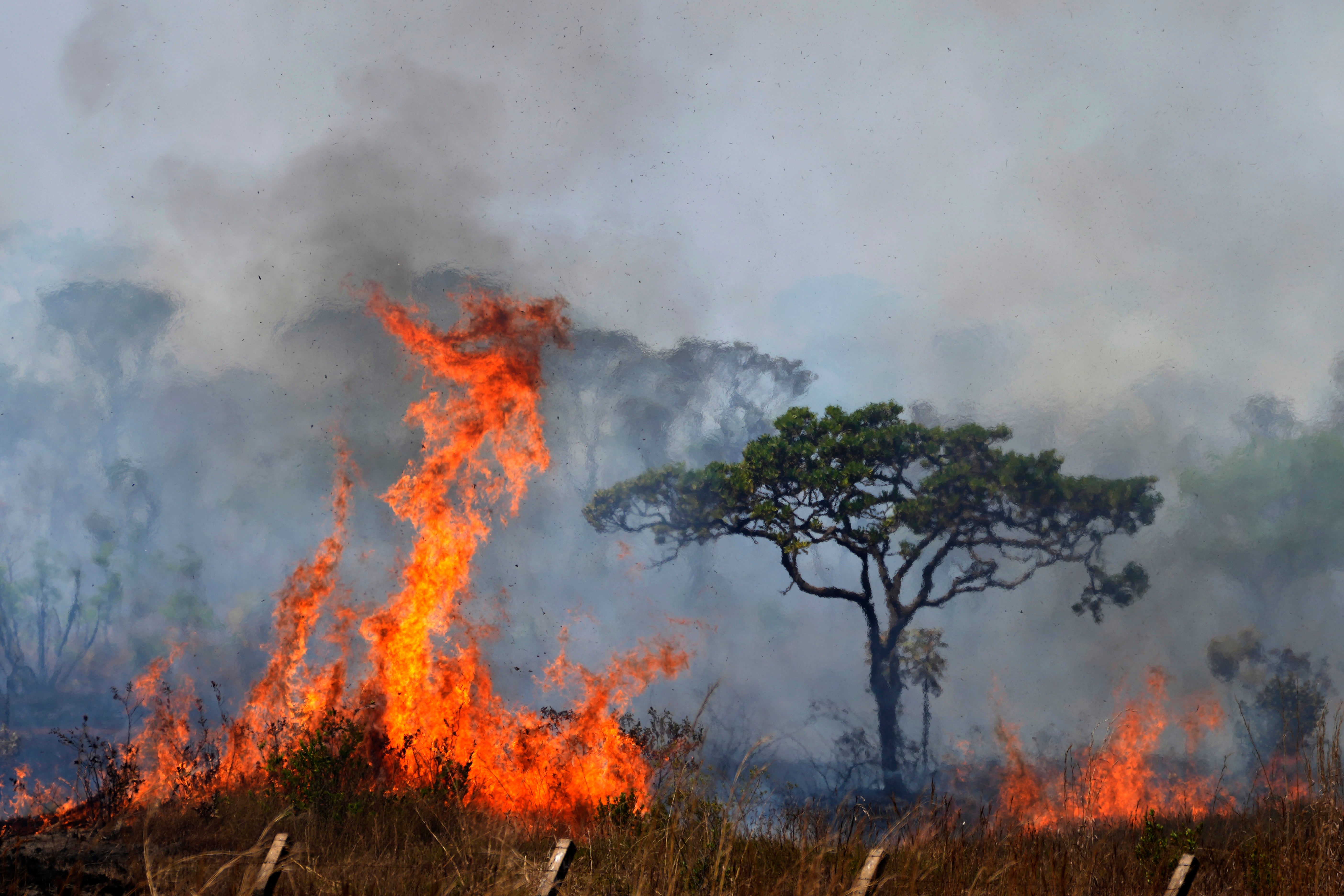 Brazil Fires