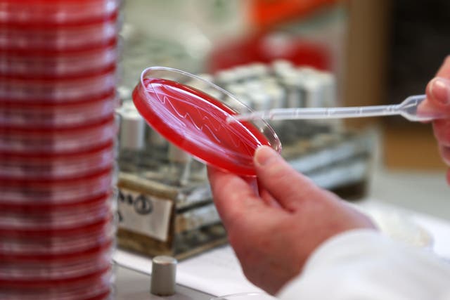 <p>The UK government recognises AMR as a major threat </p>