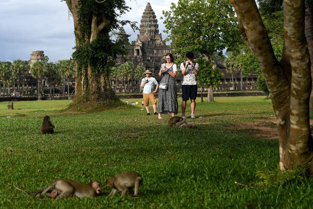 <p>Tourists taking photographs of macaque monkeys at the Angkor Wat temple complex on 5 July 2022 </p>