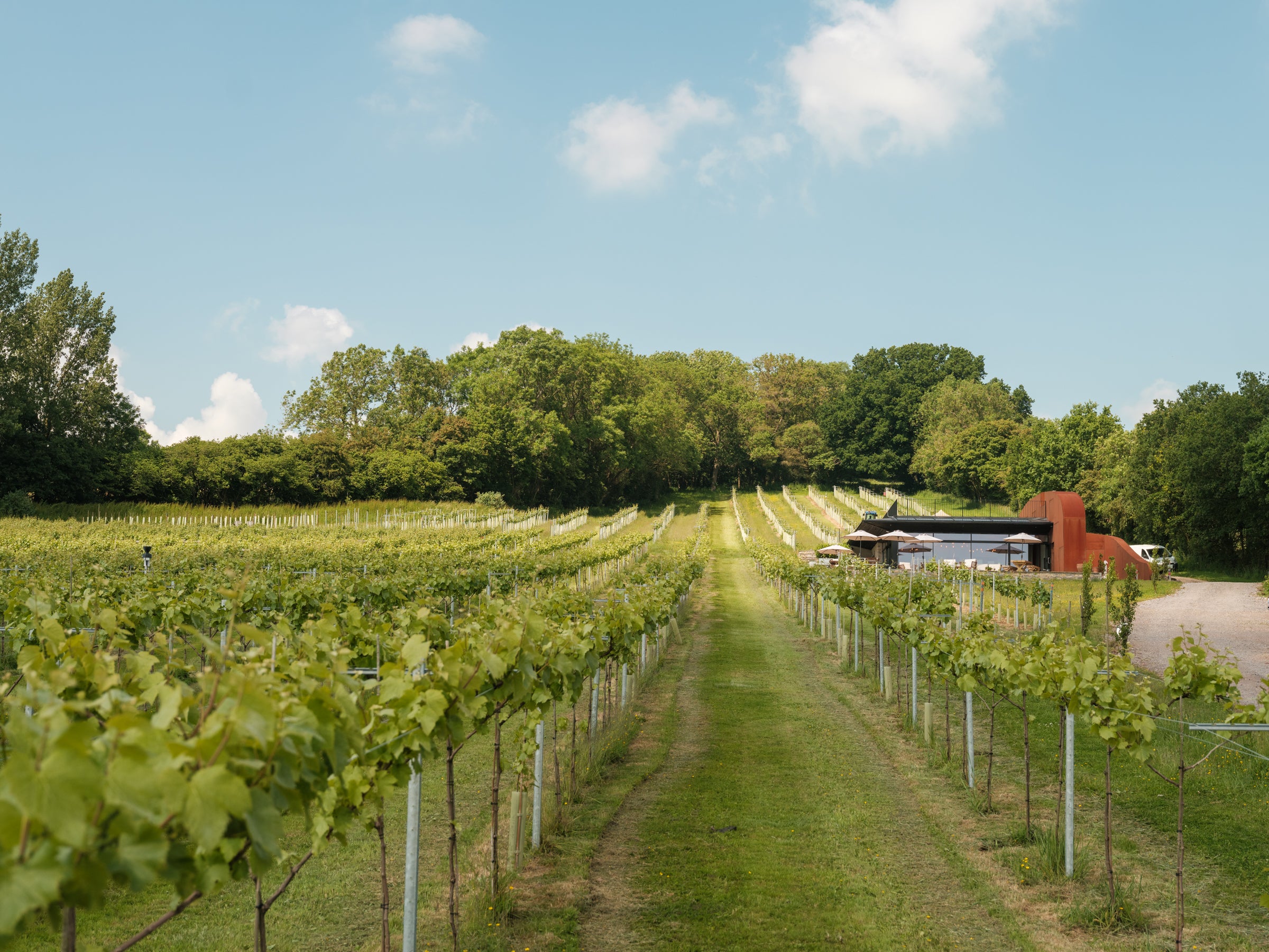 Wraxall Vineyard pours still wine and Somerset sparkling