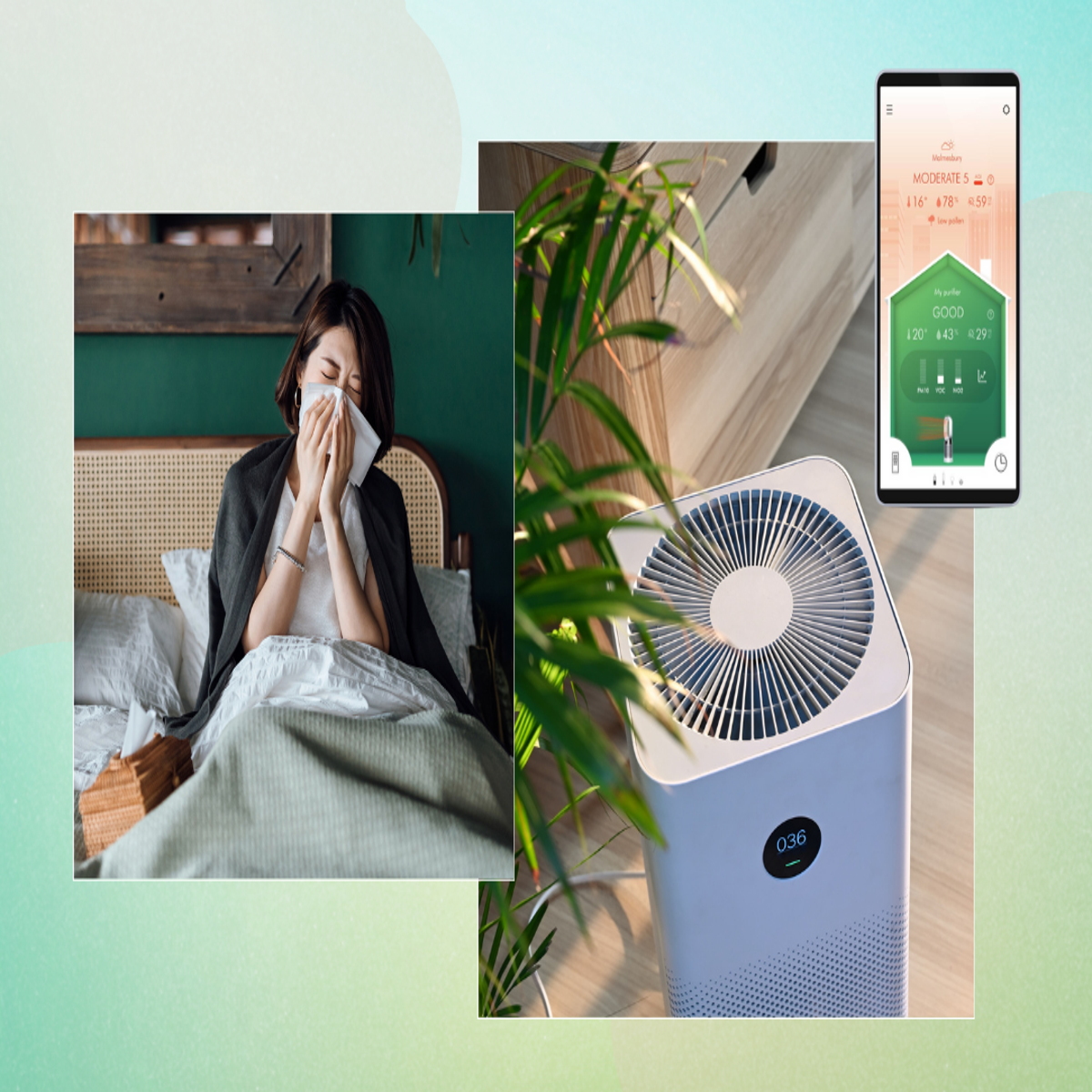The air in your home could be making you sick – here's how to improve it |  The Independent