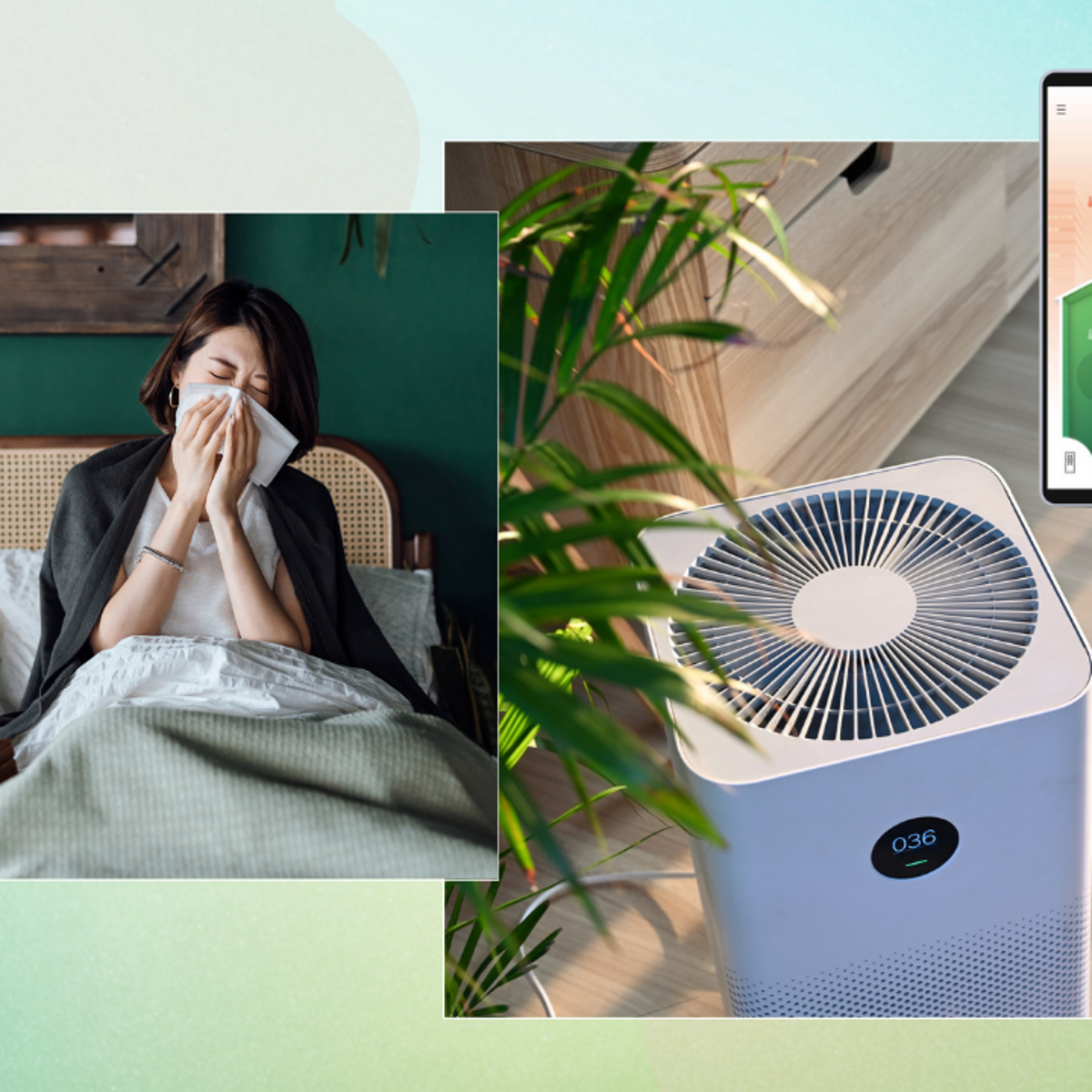 The air in your home could be making you sick – here's how to improve it | The Independent